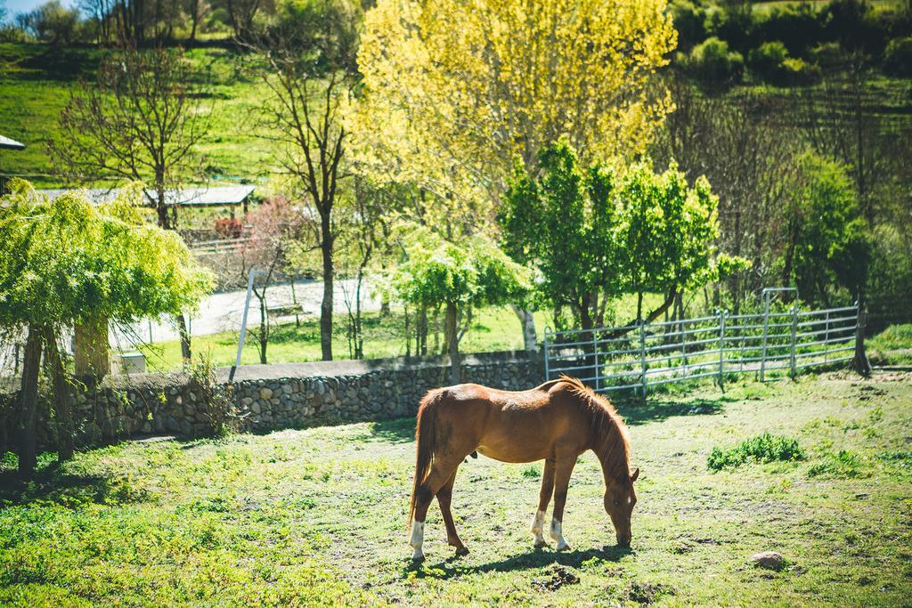 Pi Intrepid Hotel Rural - Adults Only מראה חיצוני תמונה